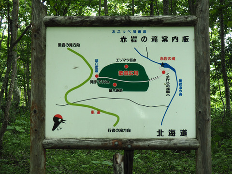 P8121129