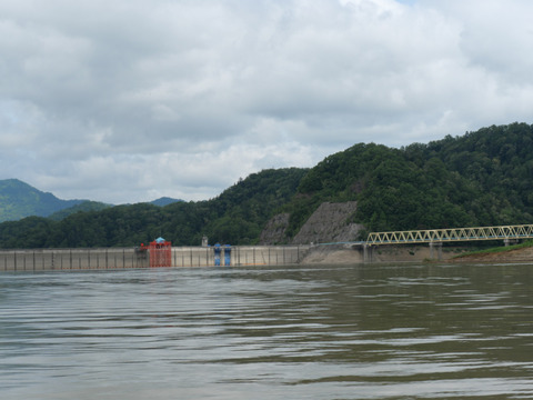 P1384468
