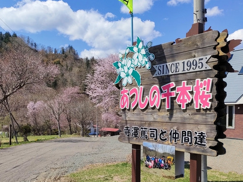 P1237829