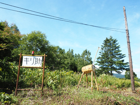 P9060403