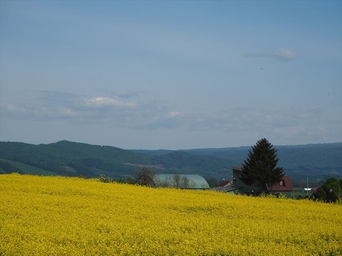 P5230003_R