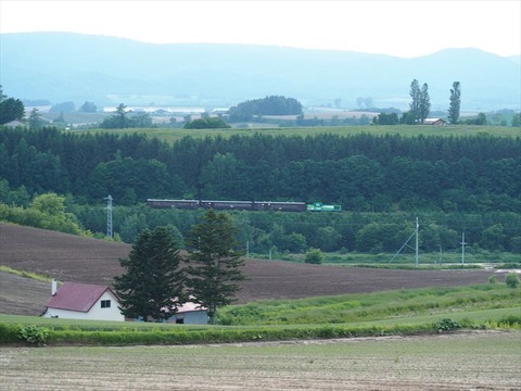 P6140791_R