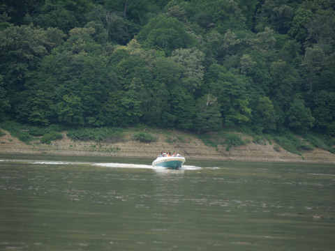 P1384460