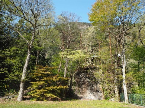 P4260210_R