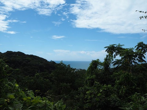 P8131707_R