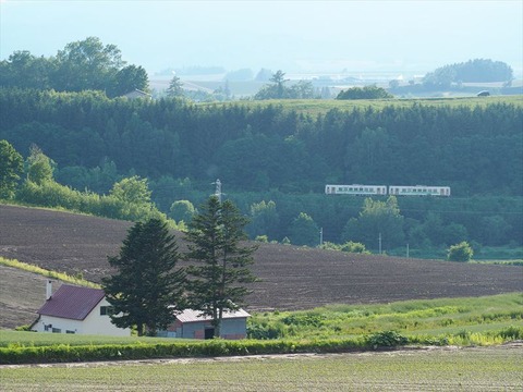 P6140786_R