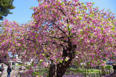 blog_import_58edaadadfc5f