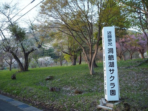P5051023_R