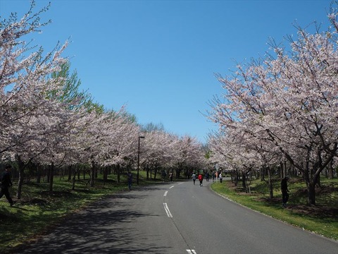 P5050962_R