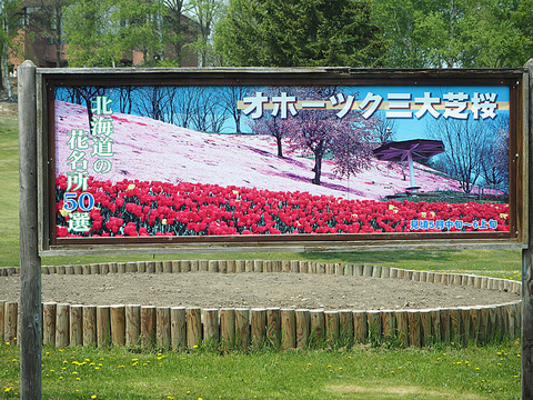 o0800060013659723492