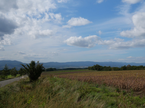 P1146781