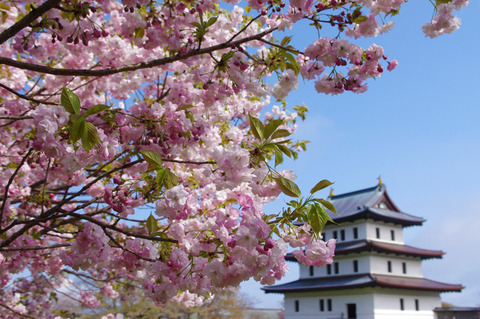 blog_import_58edaaf0dad3c