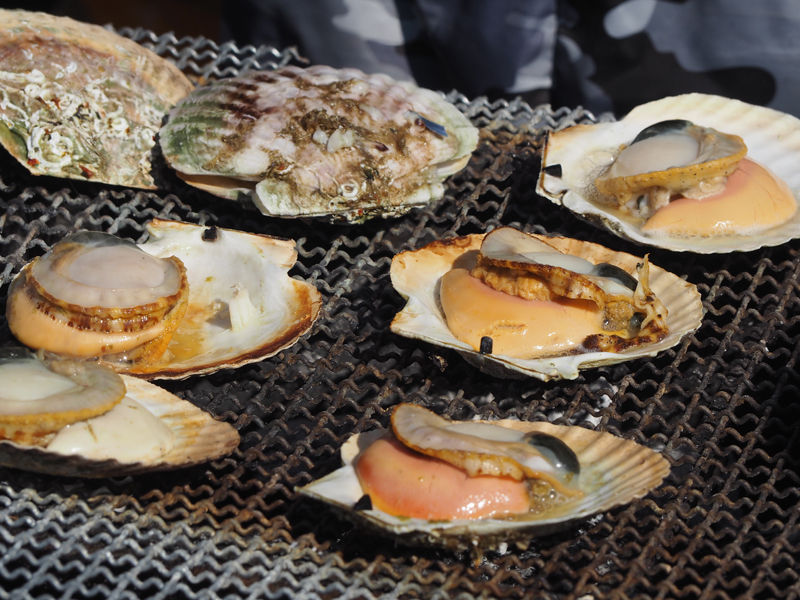 ほたてを格安で購入できる まるごと豊浦 北の収穫祭 北海道よりみち話 北海道の果てまで行ってみよう