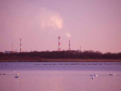 IMGP2910