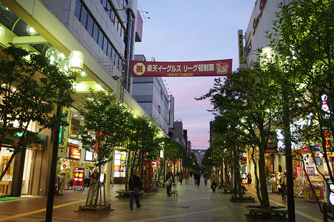 o0800053112739668573