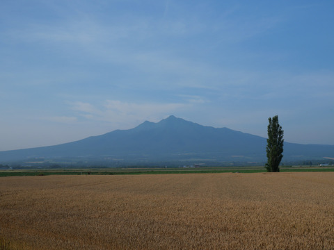 P1384351