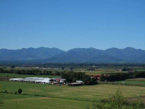 P1419139