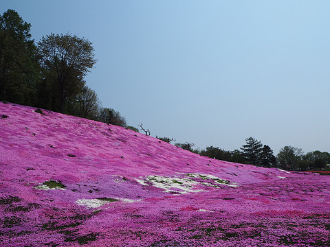 o0800060013659723495