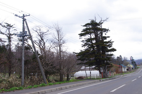 o0800053112538414192