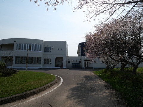P1237677