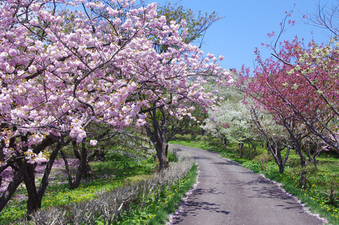 blog_import_58edaadc762d0