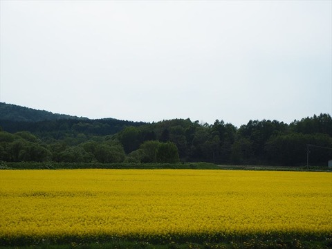 P5230002_R
