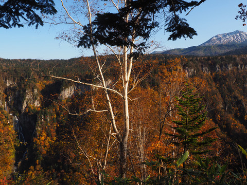 PA080125