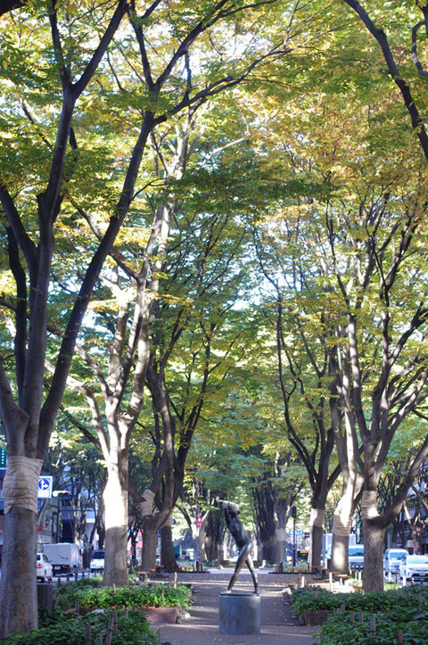 o0531080012739640700