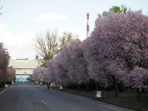 P5020895_R