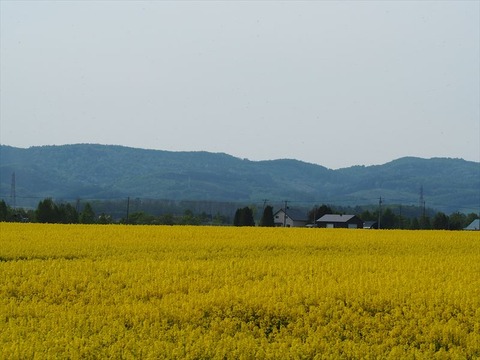 P5230020_R