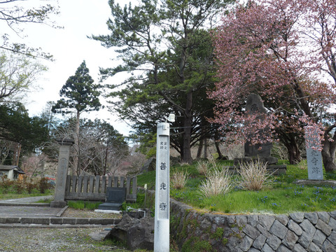 P5023362