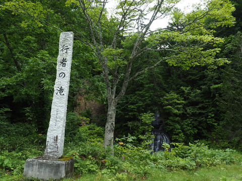 P8121154