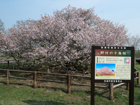 P1237671