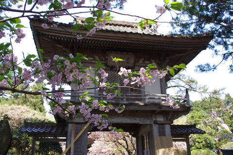 blog_import_58edaad9e6282