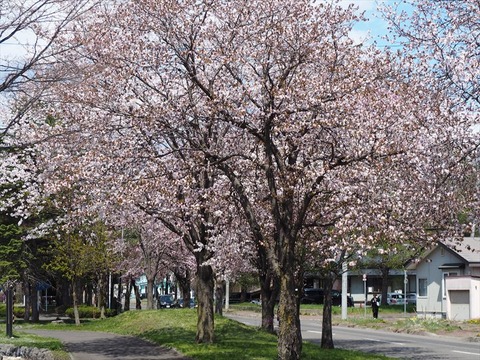 P5052042_R