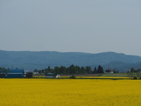 P5230015_R