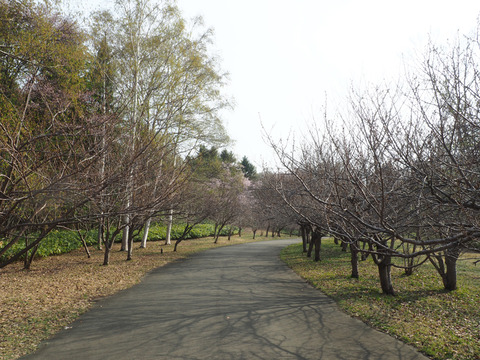 P5030310