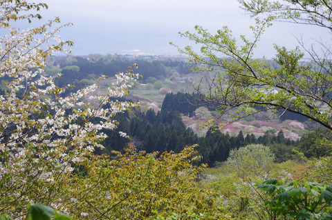 blog_import_58edaae75e3e0