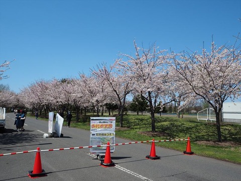 P5050959_R