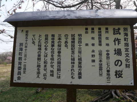 P1237696