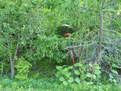 P5250079