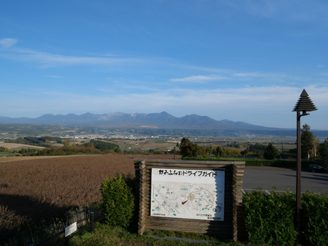 P1293833