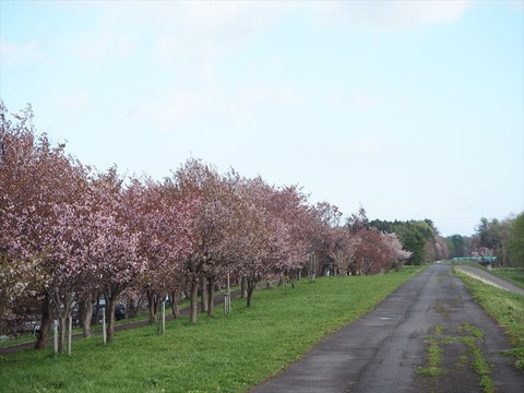 P5020886_R