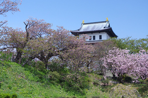 blog_import_58edaad56e3fd