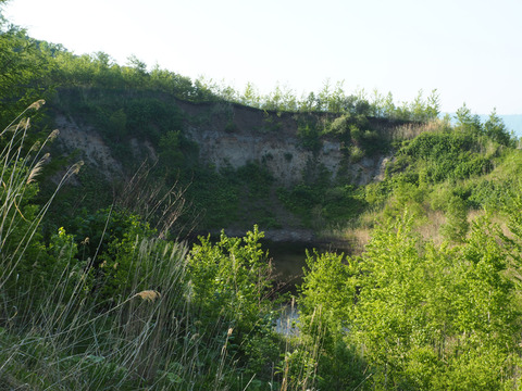 P5250094