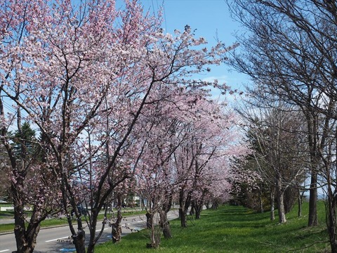 P5052001_R