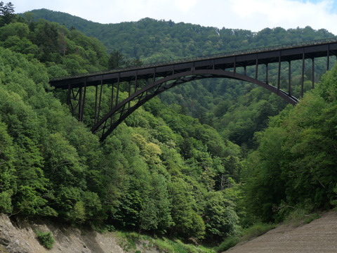 P1384465