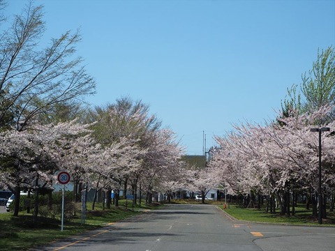 P5050970_R