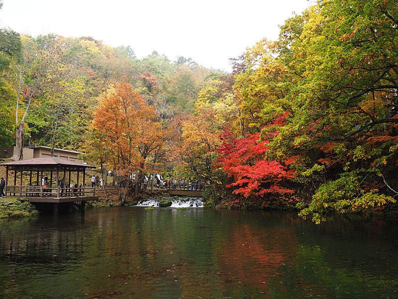 紅葉 羊蹄山の湧水 京極の名水 と紅葉が楽しめる ふきだし公園 北海道よりみち話 北海道の果てまで行ってみよう 紅葉 羊蹄山の湧水 京極の名水 と紅葉が楽しめる ふきだし公園 北海道よりみち話 北海道の果てまで行ってみよう
