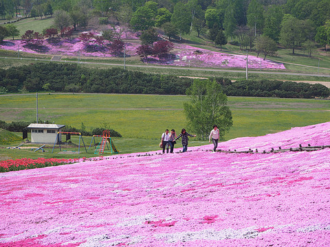 o0800060013659723494